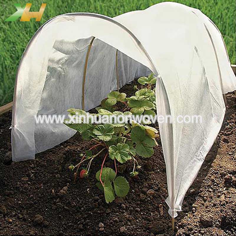 non woven crop cover