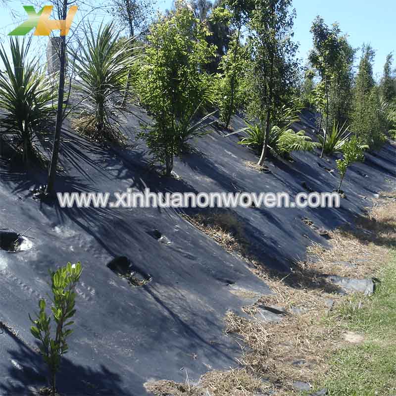 agriculture non woven fabric